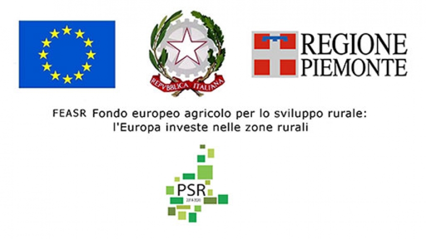 Piano Sviluppo Regione